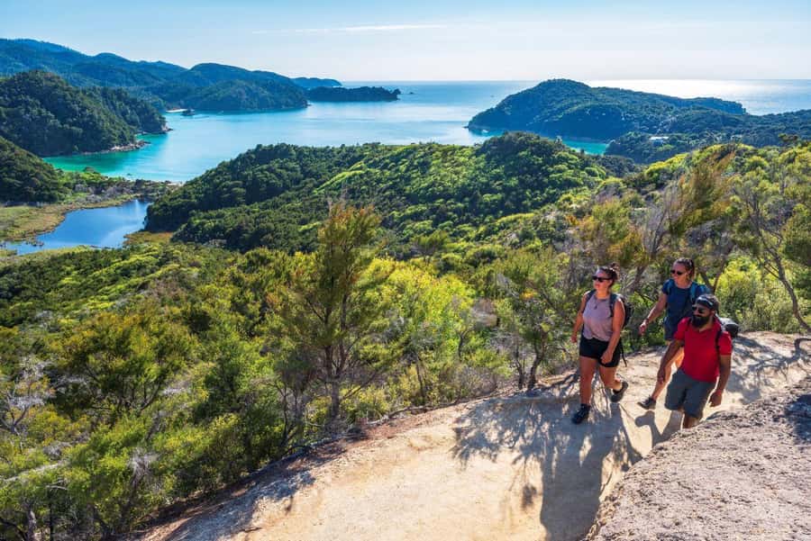 Abel Tasman National Park: Cruise, Kayak, & Hike Tour - Lunch, swimming, and a change of pace