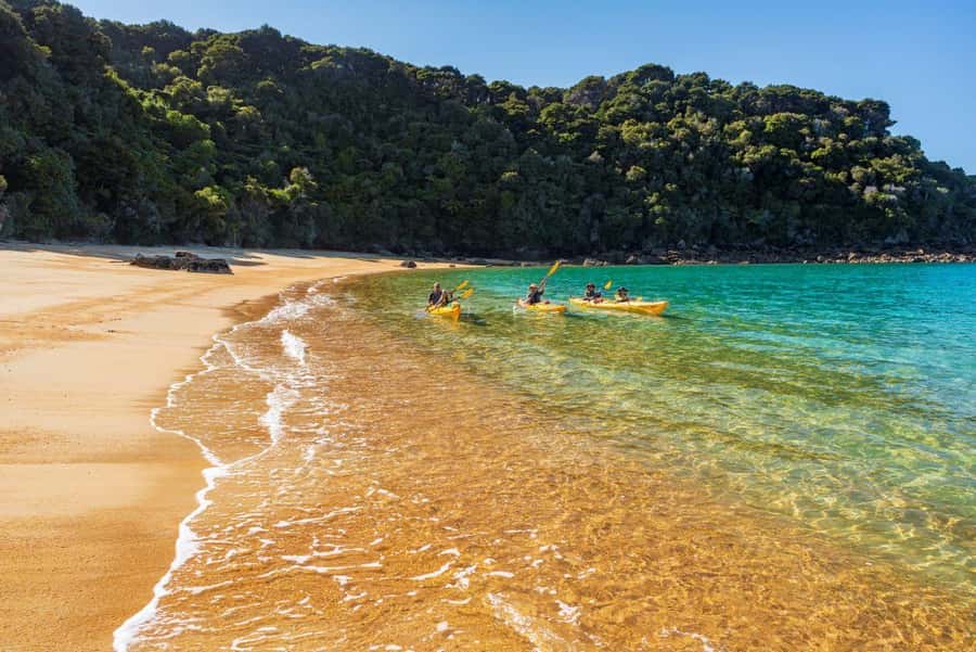 Abel Tasman National Park: Cruise, Kayak, & Hike Tour - The return cruise and the long trip home