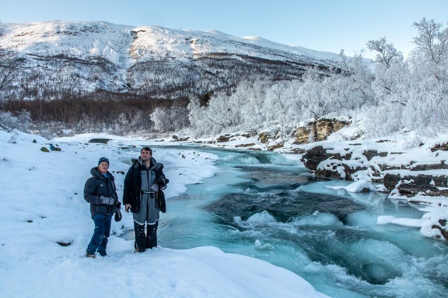 Abisko National Park: Scenic Morning Hike with Transfer - Through mountain birch forest toward the Abisko River