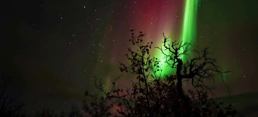 Abisko: Northern Lights Hike with Husky Puppies - Should you book it?