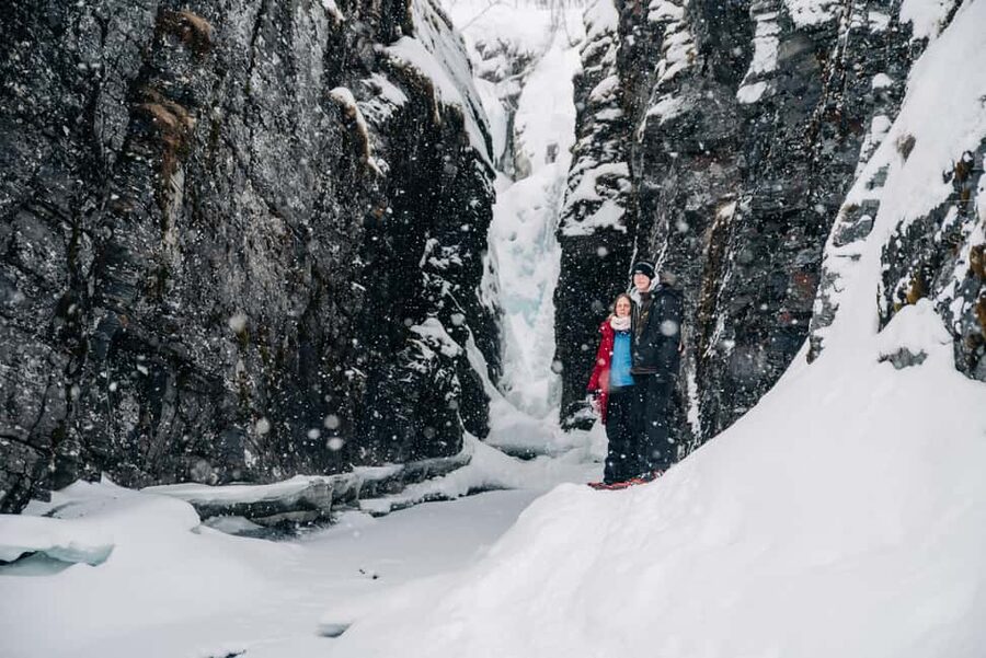 Abisko: Photo Hike with Professional Photographer - What the three-hour route feels like