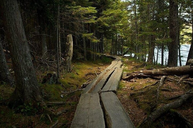 Acadia Cadillac Mountain Sunrise Half Day Private Tour & Hike - Guides make the difference on a flexible itinerary