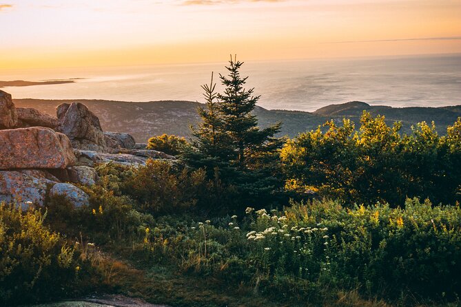 Acadia Cadillac Mountain Sunrise Half Day Private Tour & Hike - Waiting at the summit with coffee and breakfast