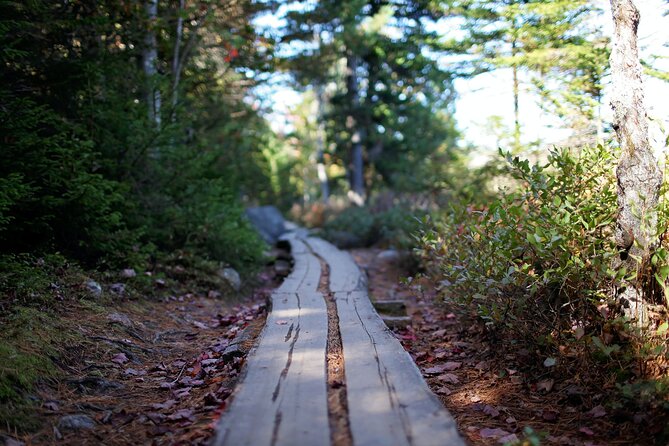 Acadia Full Day Private Tour & Hike - Why a private Acadia day can be worth the cost