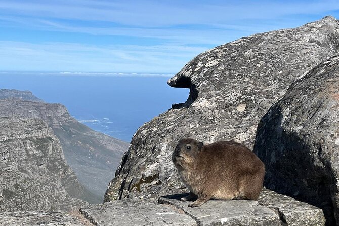 African Wonder of Nature Table Mountain Hike. - The view from 1,086 meters