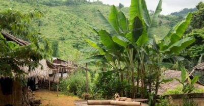 Akha & Lahu village trekking 1 day