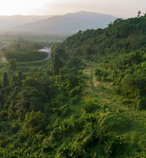 Akha & Lahu village trekking 1 day - Learning from bamboo forest plants