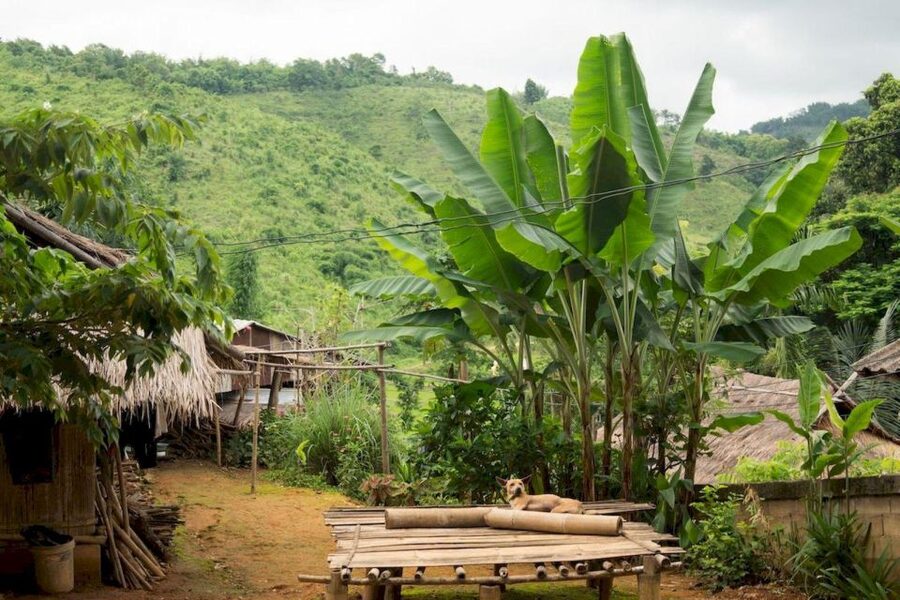 Akha & Lahu village trekking 1 day - Meeting the Akha community