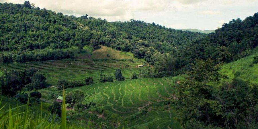 Akha & Lahu village trekking 1 day - The Lahu village stop