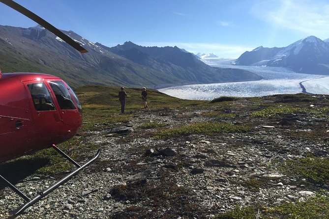Alaska Heli Hiking - ANCHORAGE AREA - Glacier views, wildlife, and small surprises