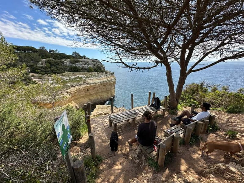 Algarve: 7 Seven Hanging Valley Hike Tour- Photos & Transfer - A coastal walk with the return trip solved