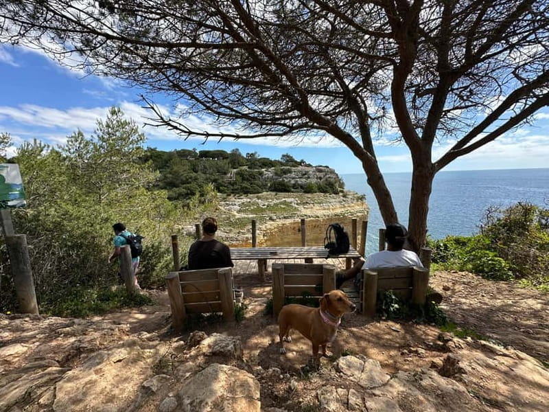 Algarve: 7 Seven Hanging Valley Hike Tour- Photos & Transfer - Starting at Vale Centeanes Beach