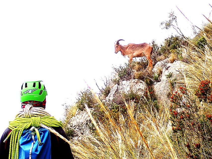 Alicante: Via Ferrata del Ponoig Guided Trek and Climb - Climbing the metal staples on a K4 route
