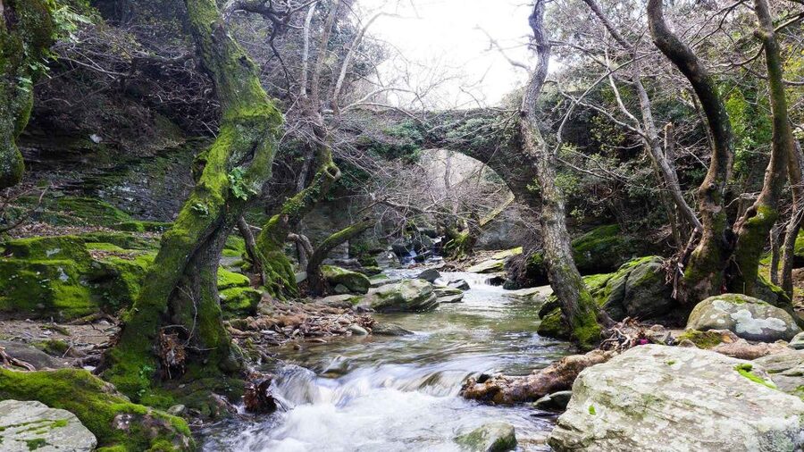 Andros: Achla River Trekking to the Waterfall - How Much Value You Get for $73