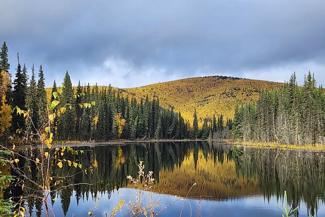 Angel Rocks Hike and Chena Hot-Springs Soak Guided Tour - Who should book this outing?