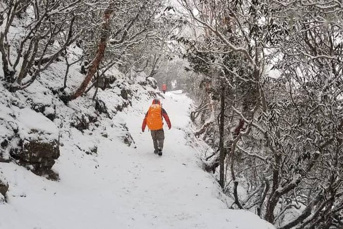 Annapurna base camp trek 5 Days - Day 3: Forest trail and Sinuwa