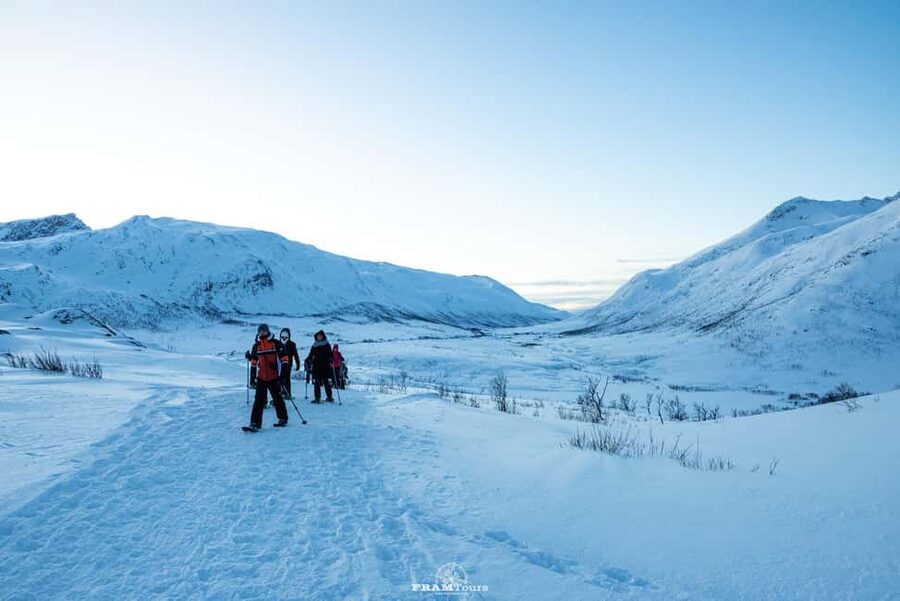 Arctic hike on Kvaløya Island with drinks and snacks - Key points to know before you book