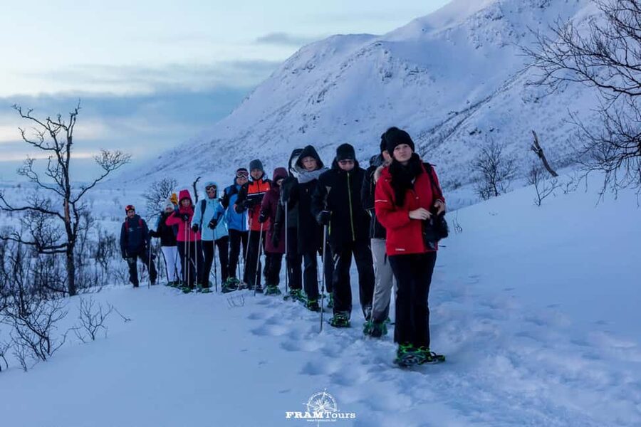 Arctic hike on Kvaløya Island with drinks and snacks - Snowshoes, poles, and the walking pace