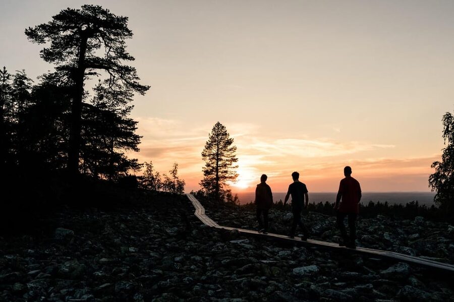 Arctic Wilderness Hike from Rovaniemi (Day & Evening) - Reaching the viewpoint