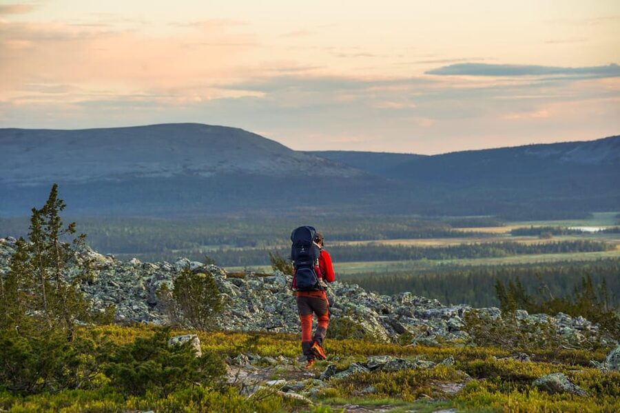 Arctic Wilderness Hike from Rovaniemi (Day & Evening) - Seasonal timing changes the experience