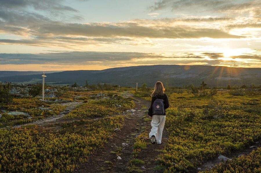 Arctic Wilderness Hike from Rovaniemi (Day & Evening) - Who should book this hike?