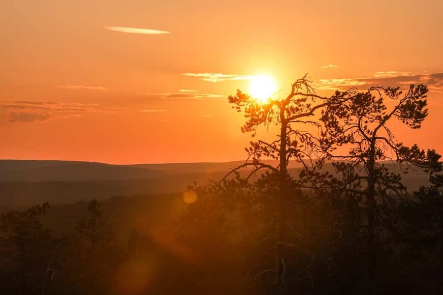 Arctic Wilderness Hike from Rovaniemi (Day & Evening) - What the 4 to 5 km walk feels like