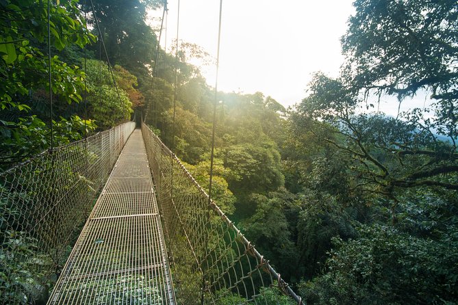 Arenal Hanging Bridges Hiking Tour - Fifteen bridges, several different views