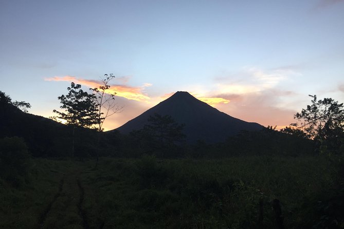 Arenal Volcano Hike - Forest wildlife, with realistic expectations