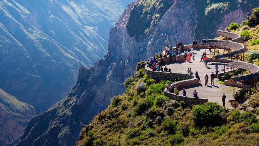 Arequipa: 2-day Colca Canyon Trekking, Ending in Puno - Who should book this canyon trek