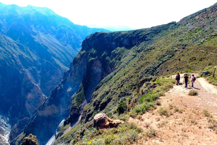 Arequipa: 2-day Colca Canyon Trekking, Ending in Puno - The early drive from Arequipa to Cruz del Cóndor