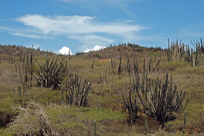 Arikok Adventurous Hiking Experience in Aruba - The trail: easy enough for many, rough enough to respect