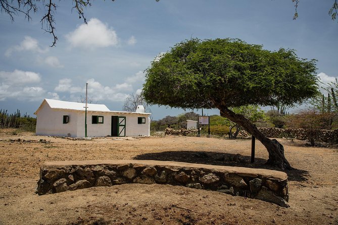 Arikok Adventurous Hiking Experience in Aruba - Wildlife watching without false promises