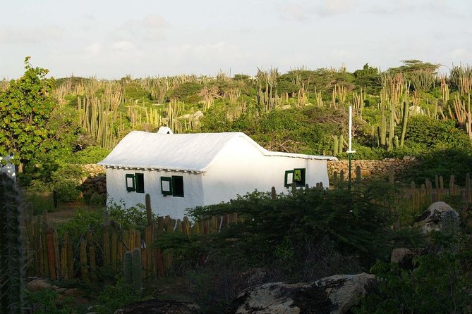 Arikok Adventurous Hiking Experience in Aruba - The guides make the difference