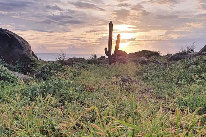 Arikok Sunrise Hiking Tour to Natural Pool + Transportation - Is $110 a fair price?
