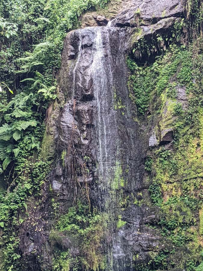 Arusha: Napuru Waterfalls Guided Hike - Why this waterfall trip works so well from Arusha