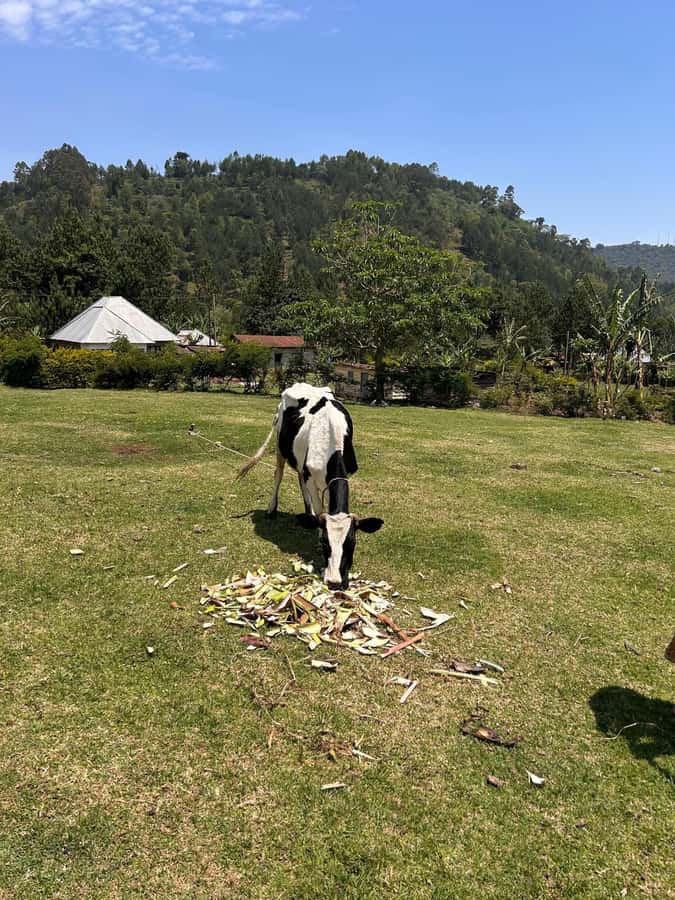 Arusha: Napuru Waterfalls Guided Hike - From your Arusha hotel to the village paths