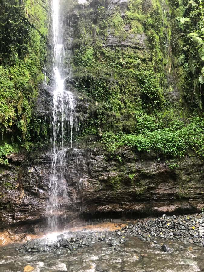Arusha: Napuru Waterfalls Guided Hike - Who should book this four-hour outing?