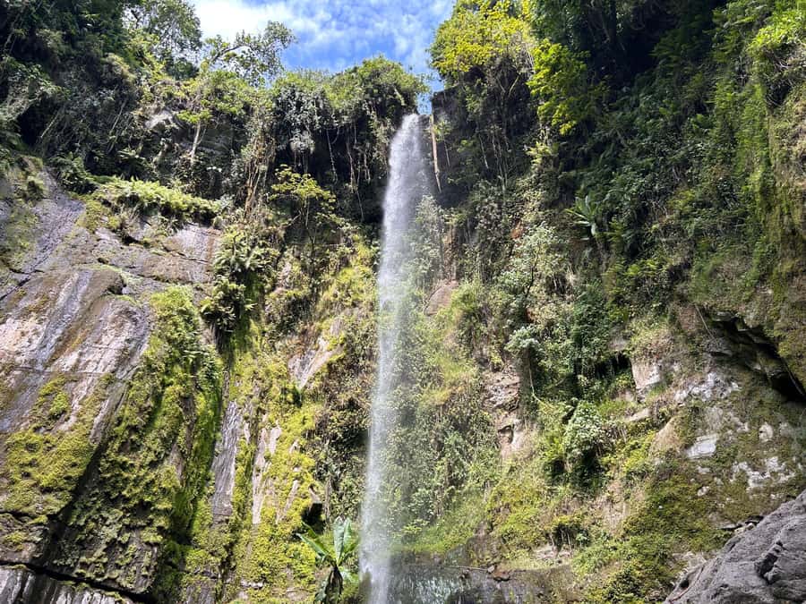Arusha: Napuru Waterfalls Guided Hike - Walking through Mount Meru Forest Reserve
