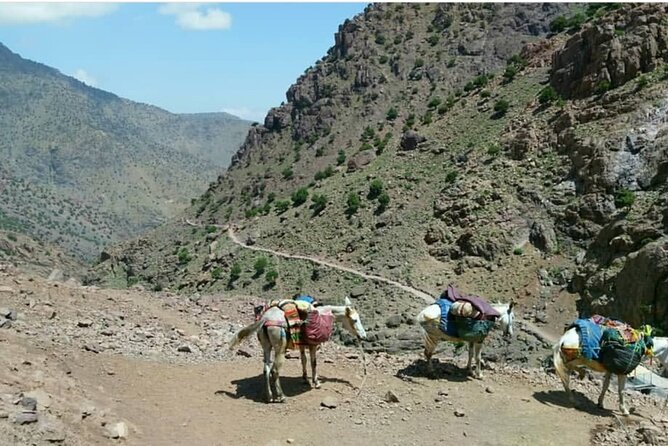 Atlas Valleys & Mount Toubkal Private 3 Days Trek From Marrakech - Winter conditions and what you need to bring