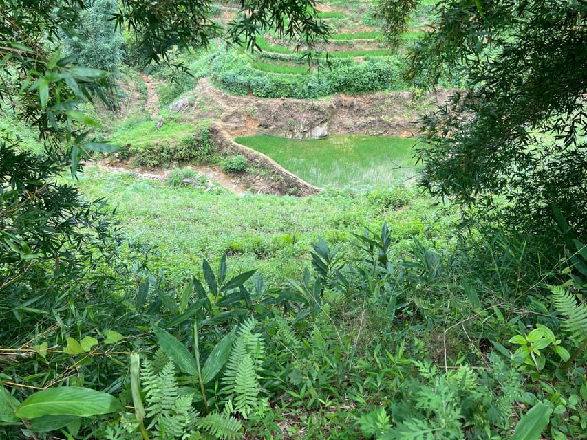 AUTHENIC 2D1N Trek & Bungalow Retreat with Dinh Hmong Family - What the $48 price includes