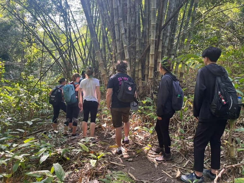 Authentic trek only walk in Chiang Rai jungle - Key points to know before booking