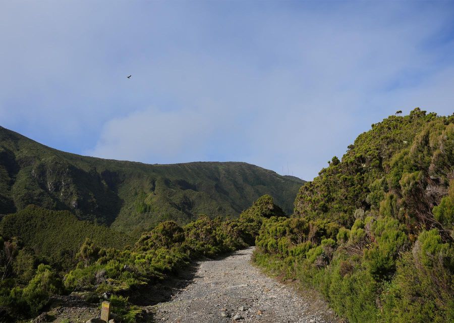 Azores: São Miguel and Lagoa do Fogo Hiking Trip - The levada brings a human touch