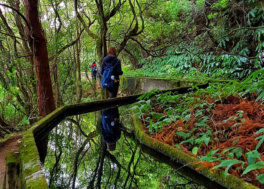 Azores: São Miguel and Lagoa do Fogo Hiking Trip - Who will enjoy this hike most