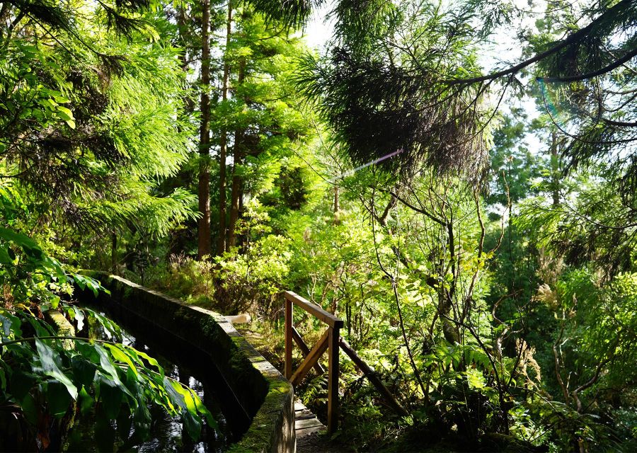 Azores: São Miguel and Lagoa do Fogo Hiking Trip - Should you book the Lagoa do Fogo hike?