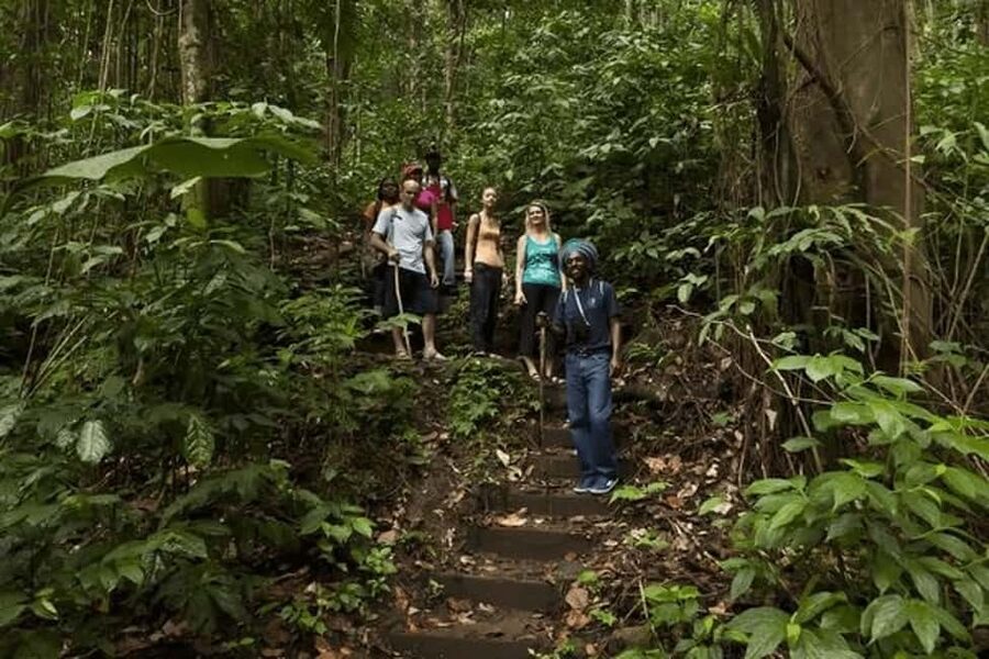 Babonneau/Castries: Rainforest Zip Line, Tram, and Hike Tour - Three ways to see the Castries rainforest