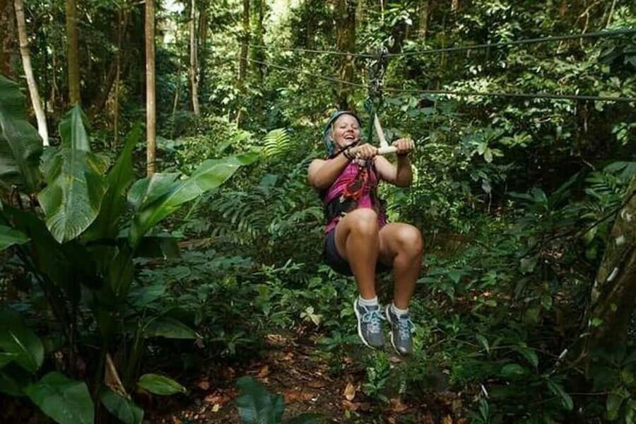 Babonneau/Castries: Rainforest Zip Line, Tram, and Hike Tour - Eight zip lines across nine platforms