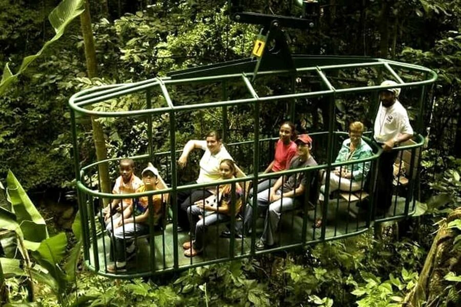 Babonneau/Castries: Rainforest Zip Line, Tram, and Hike Tour - The aerial tram: a calm start above the trees