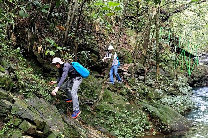 Bach Ma National Park trekking daily tour from Da Nang, Hoi An - Ngu Ho swimming and picnic lunch