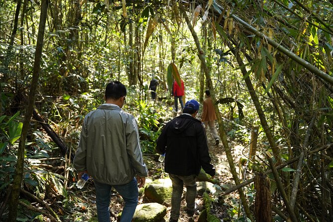 Bach Ma National Park trekking daily tour from Da Nang, Hoi An - What the $69 price really covers
