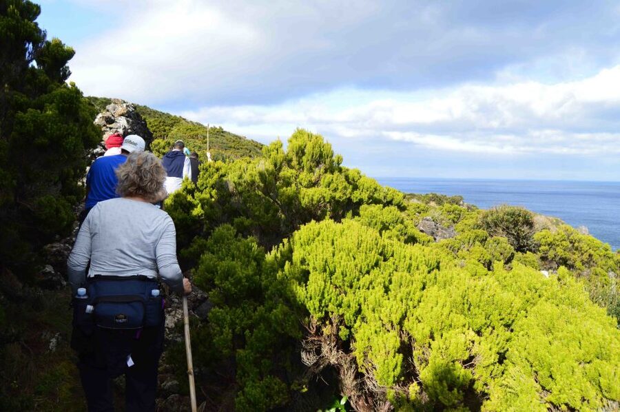 Baías de Agualva hiking - Terceira island - A Short Walk With a Lot of Context